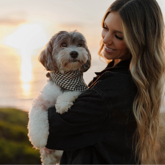 Meet your Posher, Alexandra - Picture 5 of 6